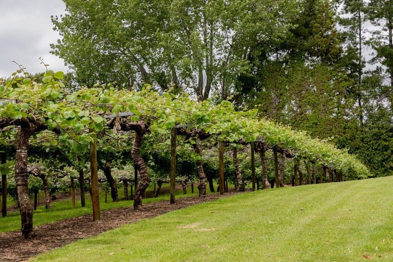 Photo of property in 29 Lemon Road, Paengaroa, Te Puke, 3189