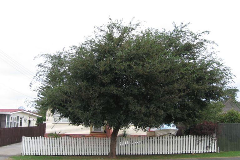 Photo of property in 3 Atkinson Avenue, Otahuhu, Auckland, 1062