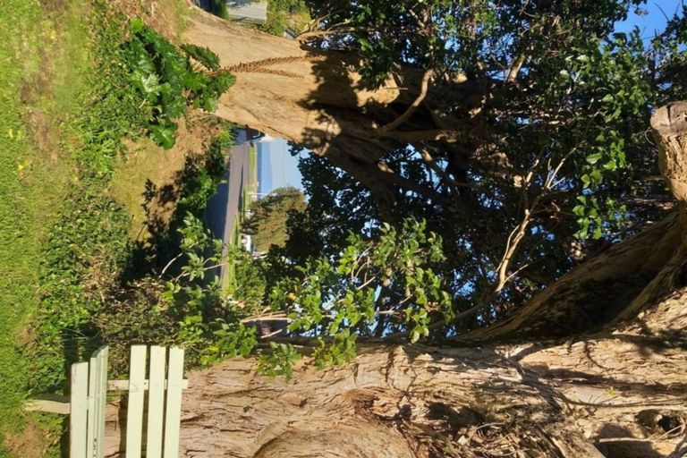 Photo of property in 4 Tatahi Street, Te Puru, Thames, 3575