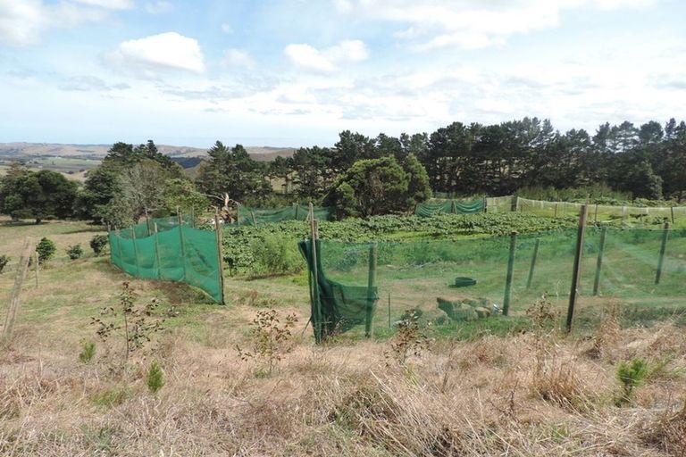 Photo of property in 225 Te Akau Road, Waingaro, Ngaruawahia, 3793