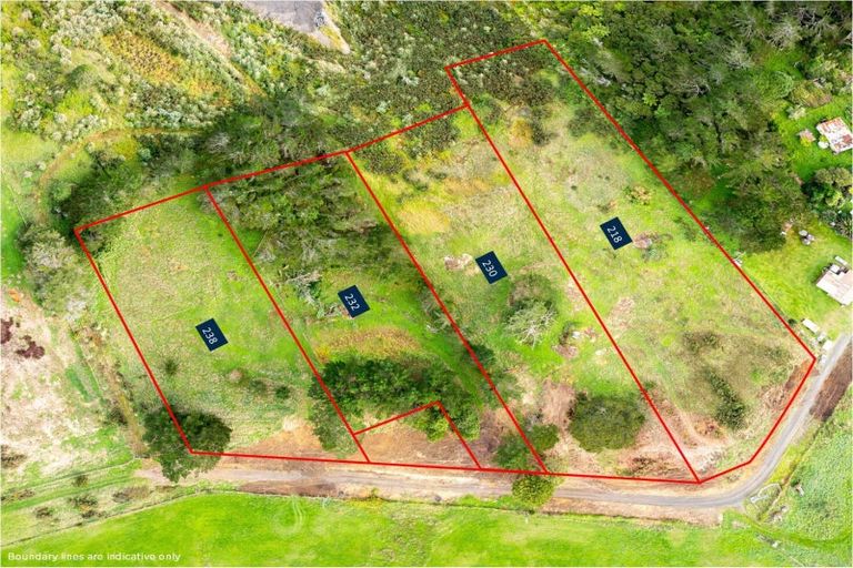 Photo of property in 218 Hangapipi Road, Rotowaro, Huntly, 3771