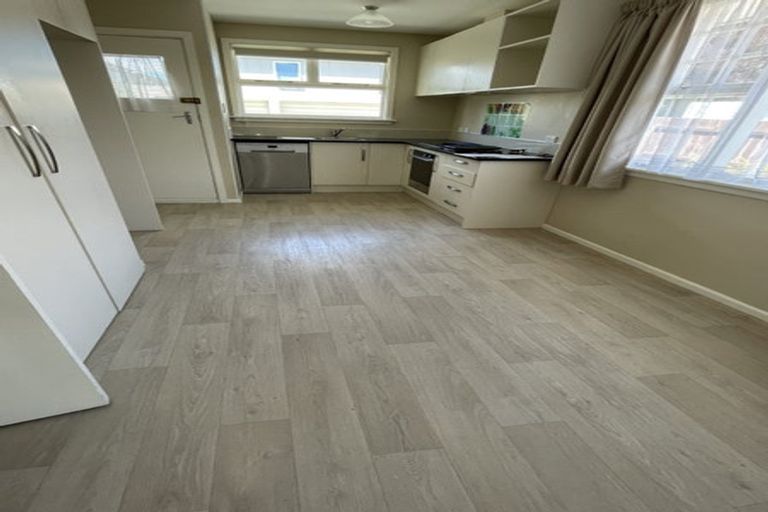 Photo of property in 19 Siddal Place, Richmond, Christchurch, 8013