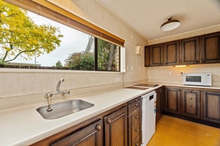 Photo of property in 25 Bailey Avenue, Claudelands, Hamilton, 3214