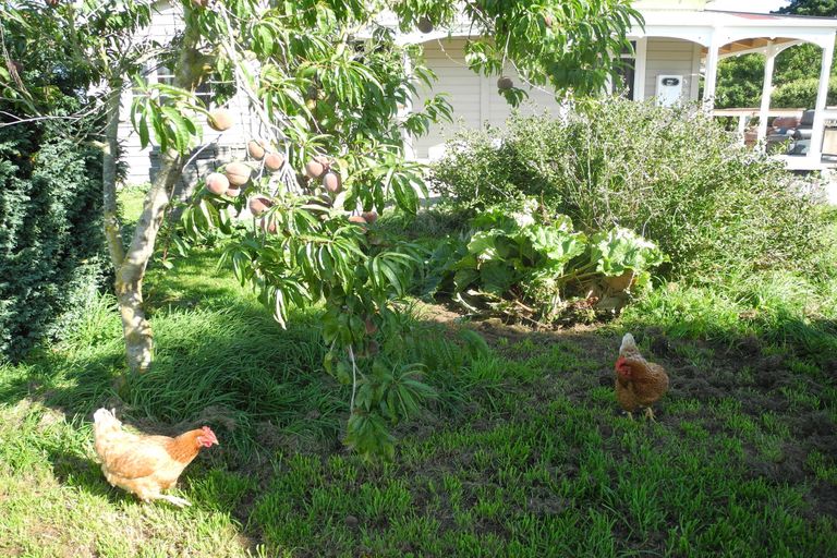 Photo of property in 85 Willowbridge Settlement Road, Waimate, 7980