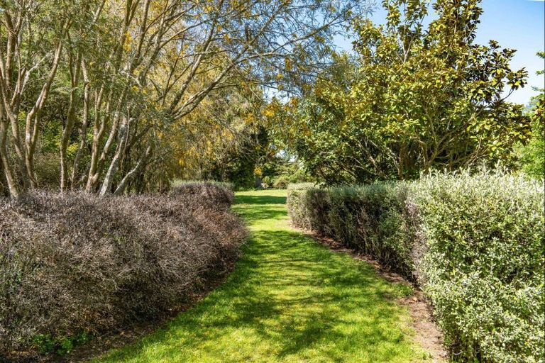 Photo of property in 213 Te Whiti Road, Homebush, Masterton, 5885