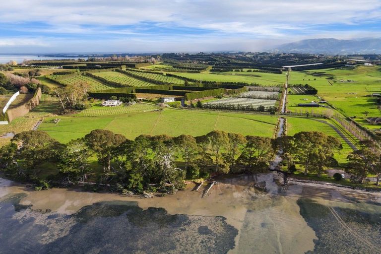 Photo of property in 50a Esplanade Road, Tahawai, Katikati, 3170