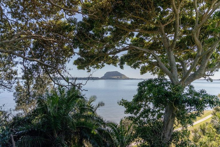 Photo of property in 9 Shaw Place, Matua, Tauranga, 3110