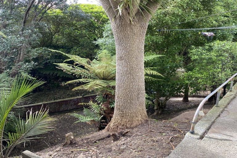 Photo of property in 16 Kaihuia Street, Northland, Wellington, 6012