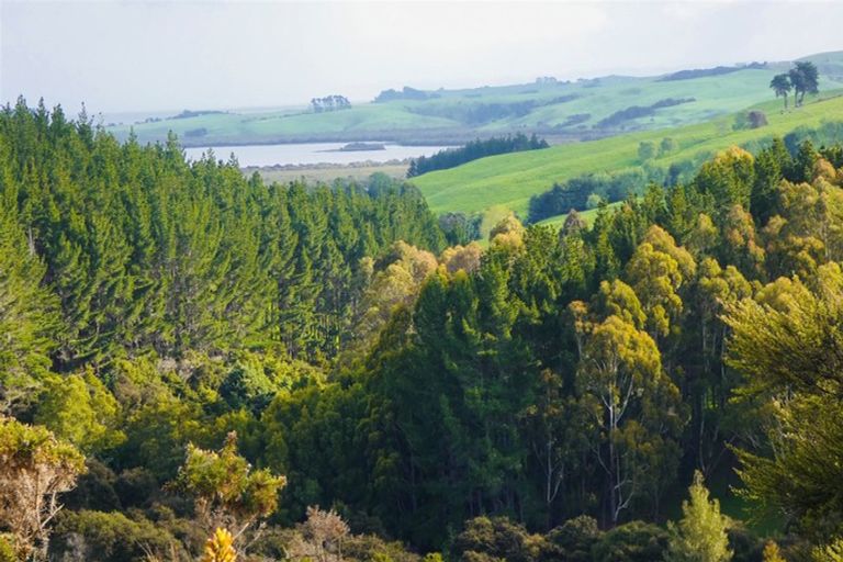 Photo of property in 567 Wharehine Road, Wharehine, Wellsford, 0973