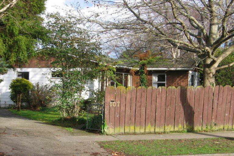 Photo of property in 107 Ruamahanga Crescent, Terrace End, Palmerston North, 4410