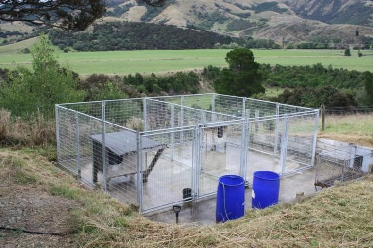 Photo of property in 343 Whitneys Road, Waimate, 7978