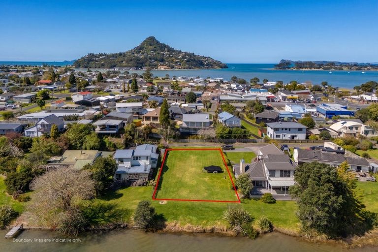 Photo of property in 20 Marquet Place, Tairua, 3508