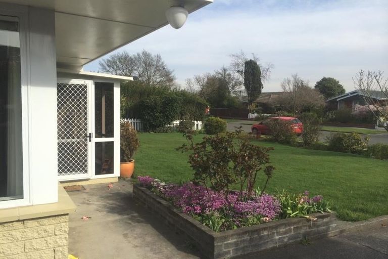 Photo of property in 41 Raxworthy Street, Ilam, Christchurch, 8041