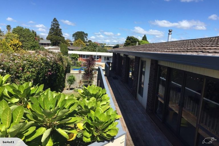 Photo of property in 19 Warrington Street, Matua, Tauranga, 3110