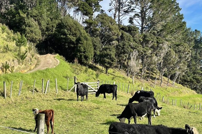 Photo of property in 158 Wainui Road, Kaeo, 0478