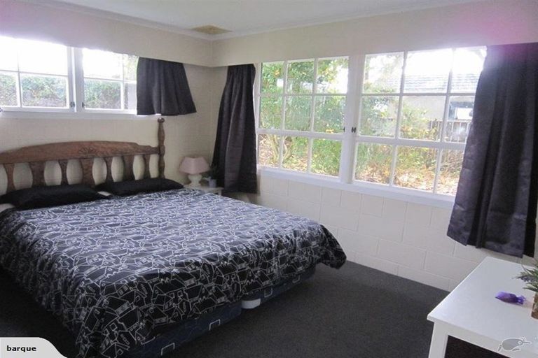 Photo of property in 199 Tiro Tiro Road, Levin, 5510