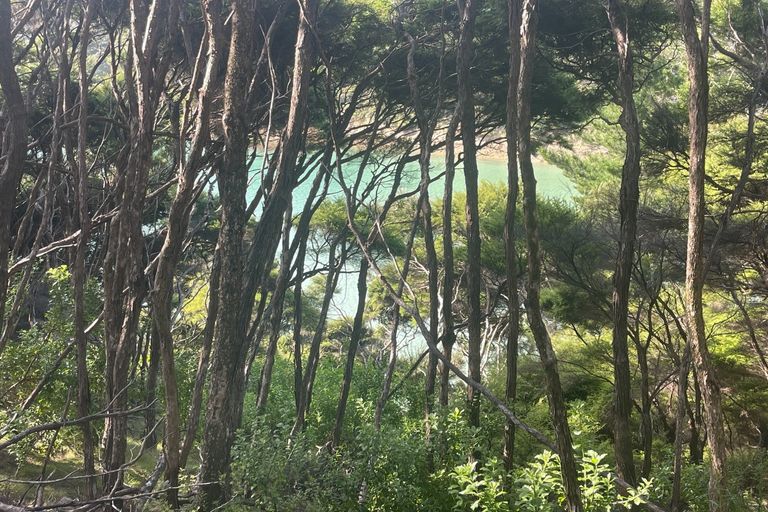 Photo of property in 11 Edith Ridge Road, Kawau Island, 0920