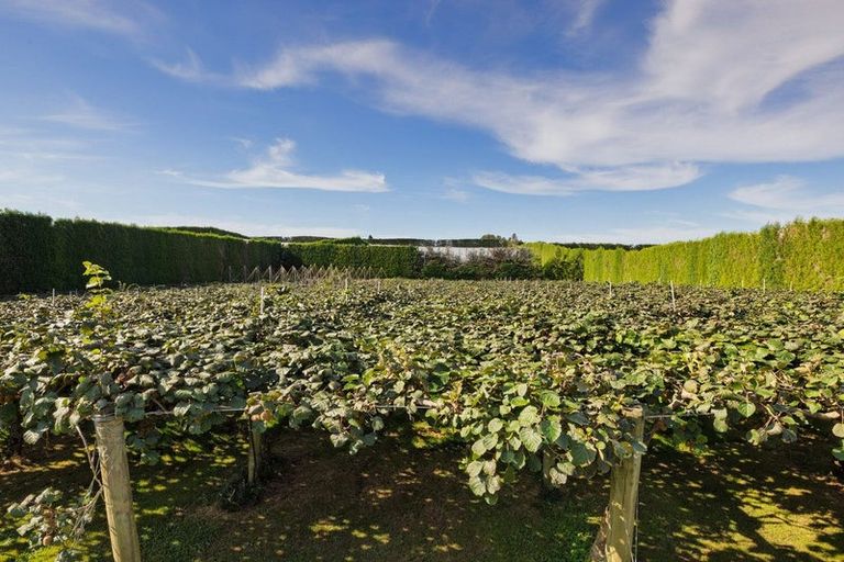 Photo of property in 13 James Road, Te Puna, Tauranga, 3176