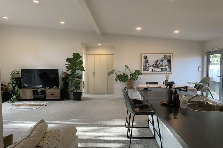 Photo of property in 8a Vine Avenue, Maungatapu, Tauranga, 3112