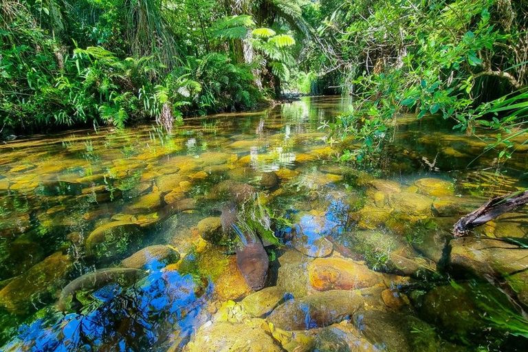 Photo of property in 877 Tiki Quarry Road, Preece Point, Coromandel, 3581