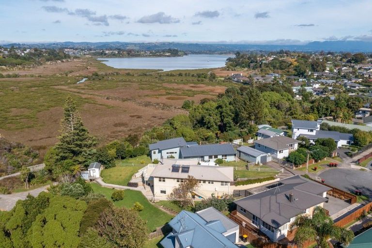 Photo of property in 56 Hall Road, Matua, Tauranga, 3110