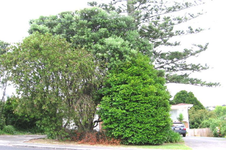 Photo of property in 49 Ocean View Road, Hillcrest, Auckland, 0627