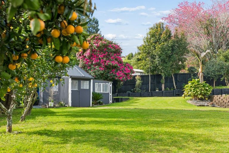 Photo of property in 47b Taniwha Place, Bethlehem, Tauranga, 3176