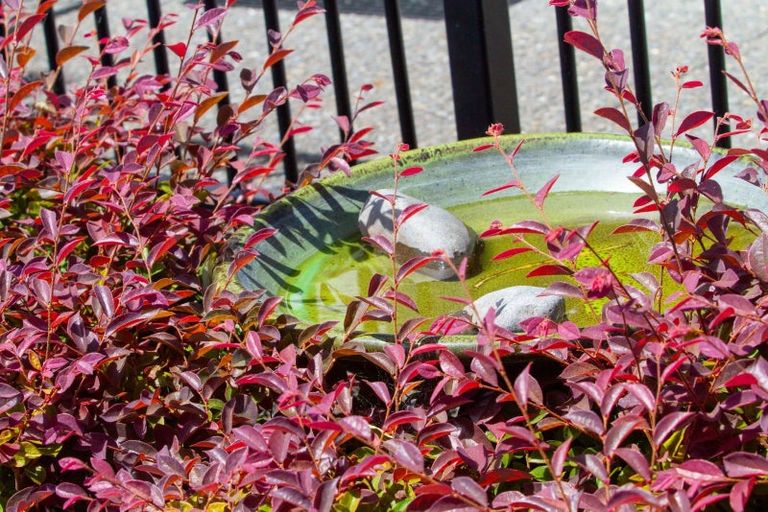 Photo of property in 17 Patricia Place, Katikati, 3129