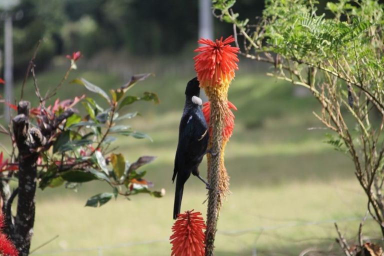 Photo of property in 82 James Road, Rangitumau, Masterton, 5871