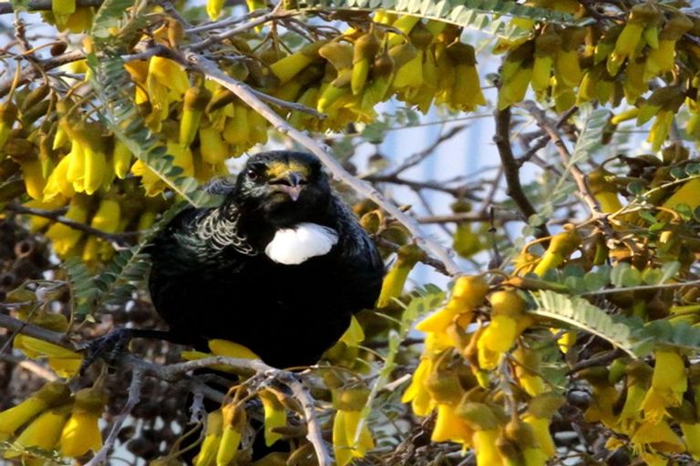 Photo of property in 12 Matai Place, Waikawa, Picton, 7220