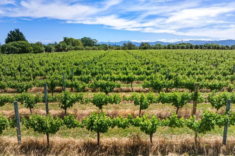 Photo of property in 686 Dillons Point Road, Dillons Point, Blenheim, 7273