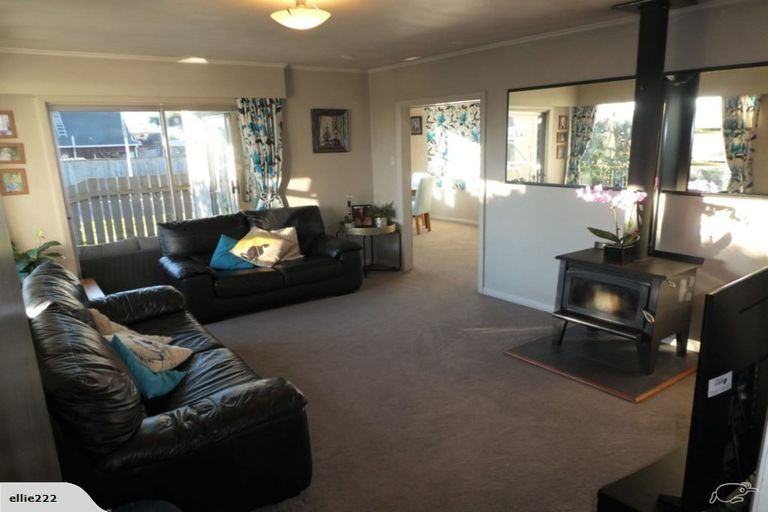 Photo of property in 28 Alma Street, Renwick, 7204