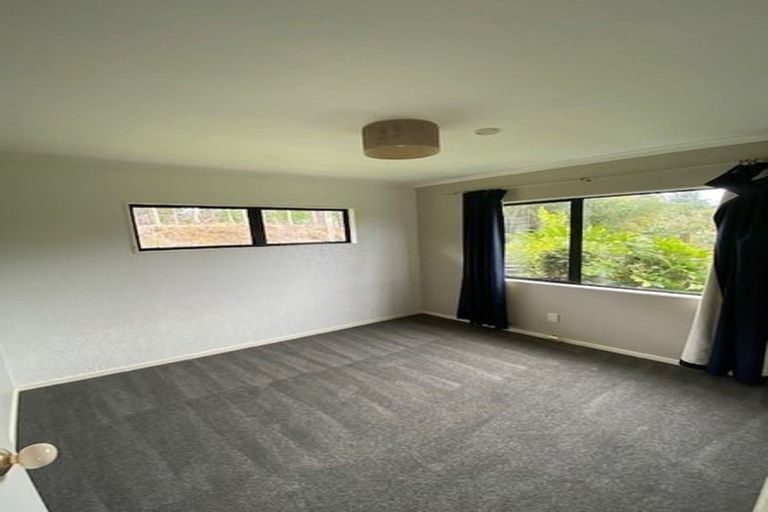 Photo of property in 374 Youngson Road, Whakamarama, Tauranga, 3179