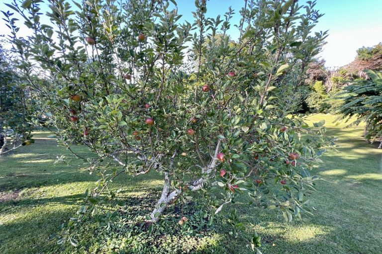 Photo of property in 8344d State Highway 35, Whanarua Bay, Te Kaha, 3199