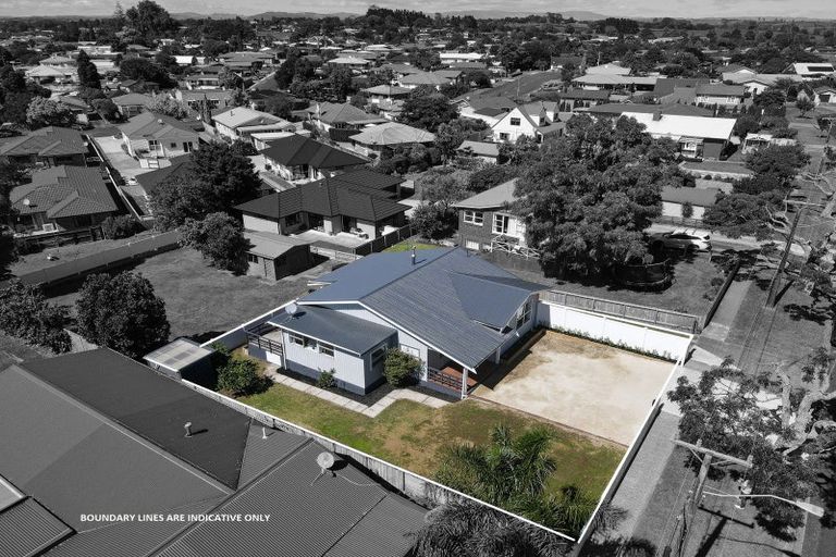 Photo of property in 113 Young Street, Te Awamutu, 3800