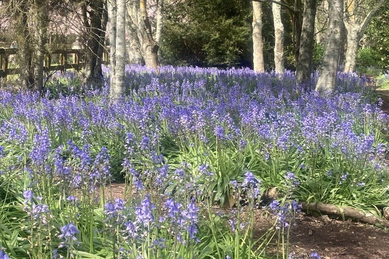 Photo of property in 125 Matangi Road, Matangi, Hamilton, 3284