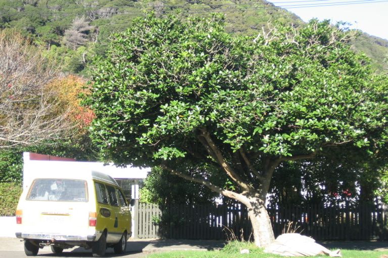 Photo of property in 13 Karamu Street, Eastbourne, Lower Hutt, 5013