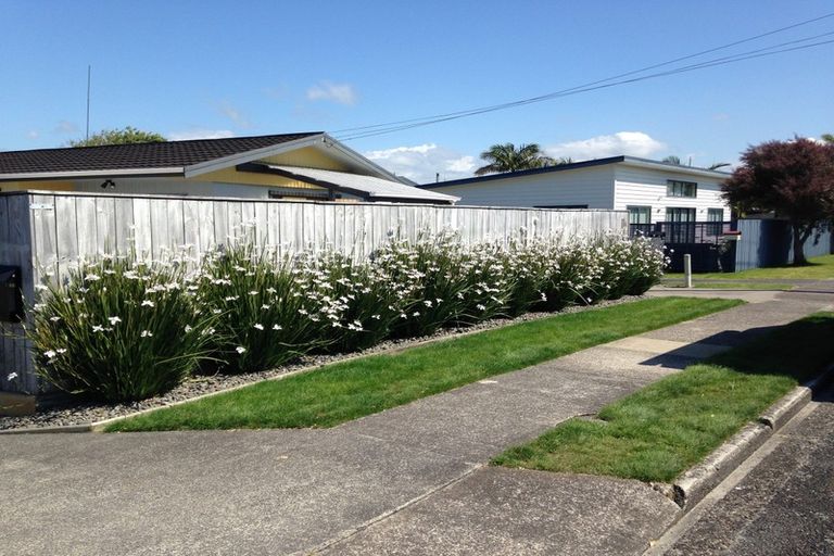 Photo of property in 11a Taupo Avenue, Mount Maunganui, 3116