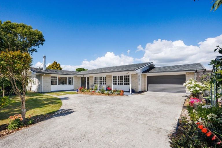 Photo of property in 409 Ruahine Street, Terrace End, Palmerston North, 4410