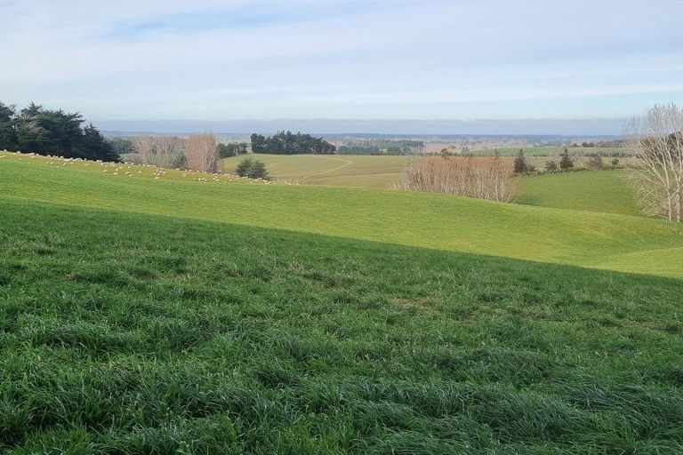 Photo of property in 41 Gray Road, Waitepeka, Balclutha, 9271