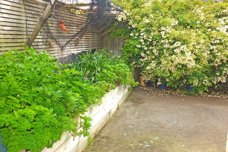 Photo of property in 62 Andrews Street, Foxton Beach, Foxton, 4815