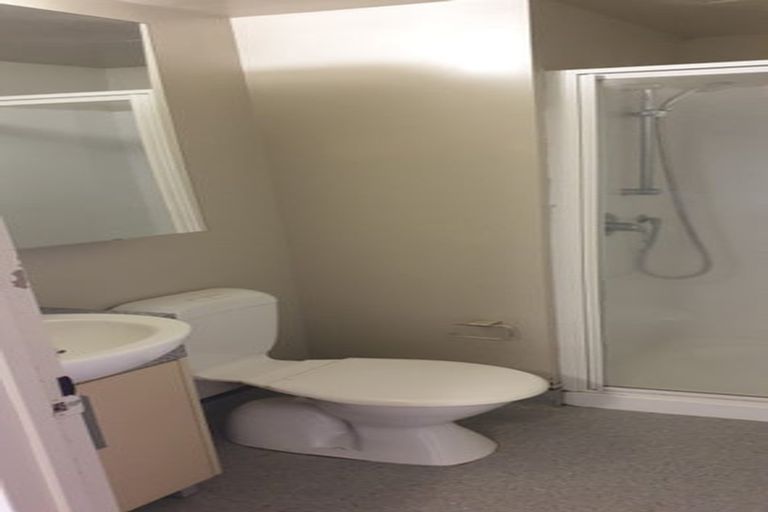 Photo of property in Dual Apartments, 110/142 Vivian Street, Te Aro, Wellington, 6011