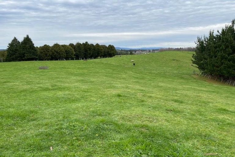Photo of property in 1302 Pongakawa Bush Road, Pongakawa, Te Puke, 3186