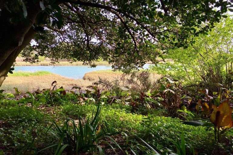 Photo of property in 30 Oak Street, Mangapapa, Gisborne, 4010