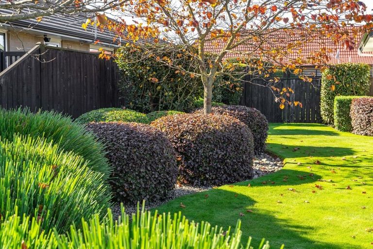 Photo of property in 61 Armstrong Avenue, Carterton, 5713