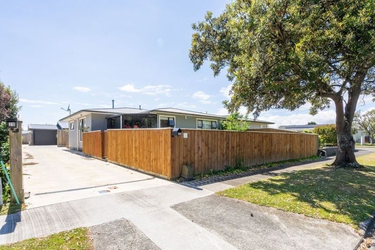 Photo of property in 22 Highbury Avenue, Highbury, Palmerston North, 4412