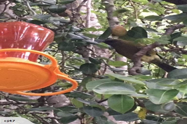 Photo of property in 3 Lot Rc, 2 Nith Street, Oamaru North, Oamaru, 9400