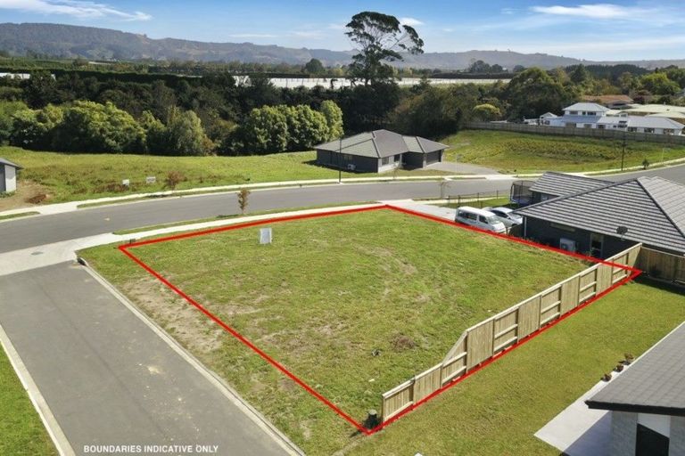 Photo of property in 46 Tynan Street, Te Puke, 3119