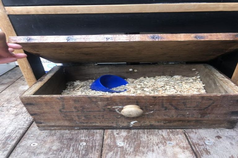 Photo of property in 6 Arahiwi Rise, Pataua South, Onerahi, 0192