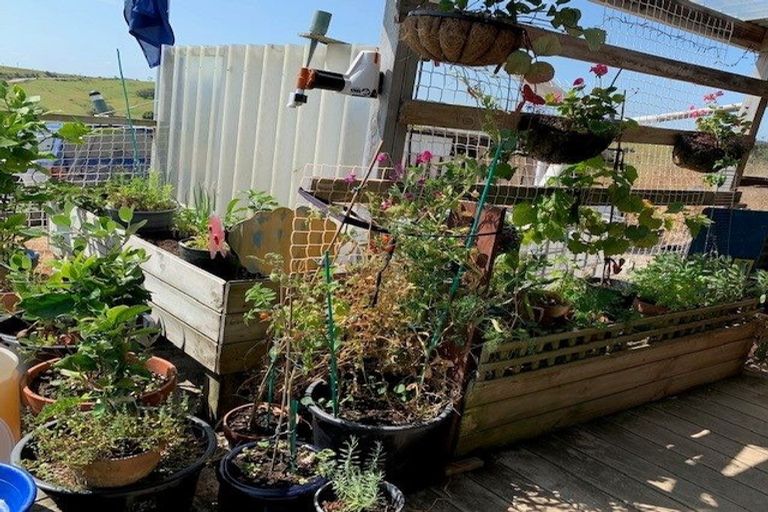 Photo of property in 150 Hall Road, Sawyers Bay, Port Chalmers, 9023